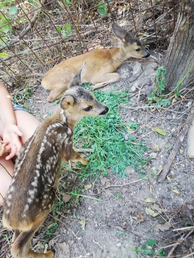 IMG 20201111 WA0004