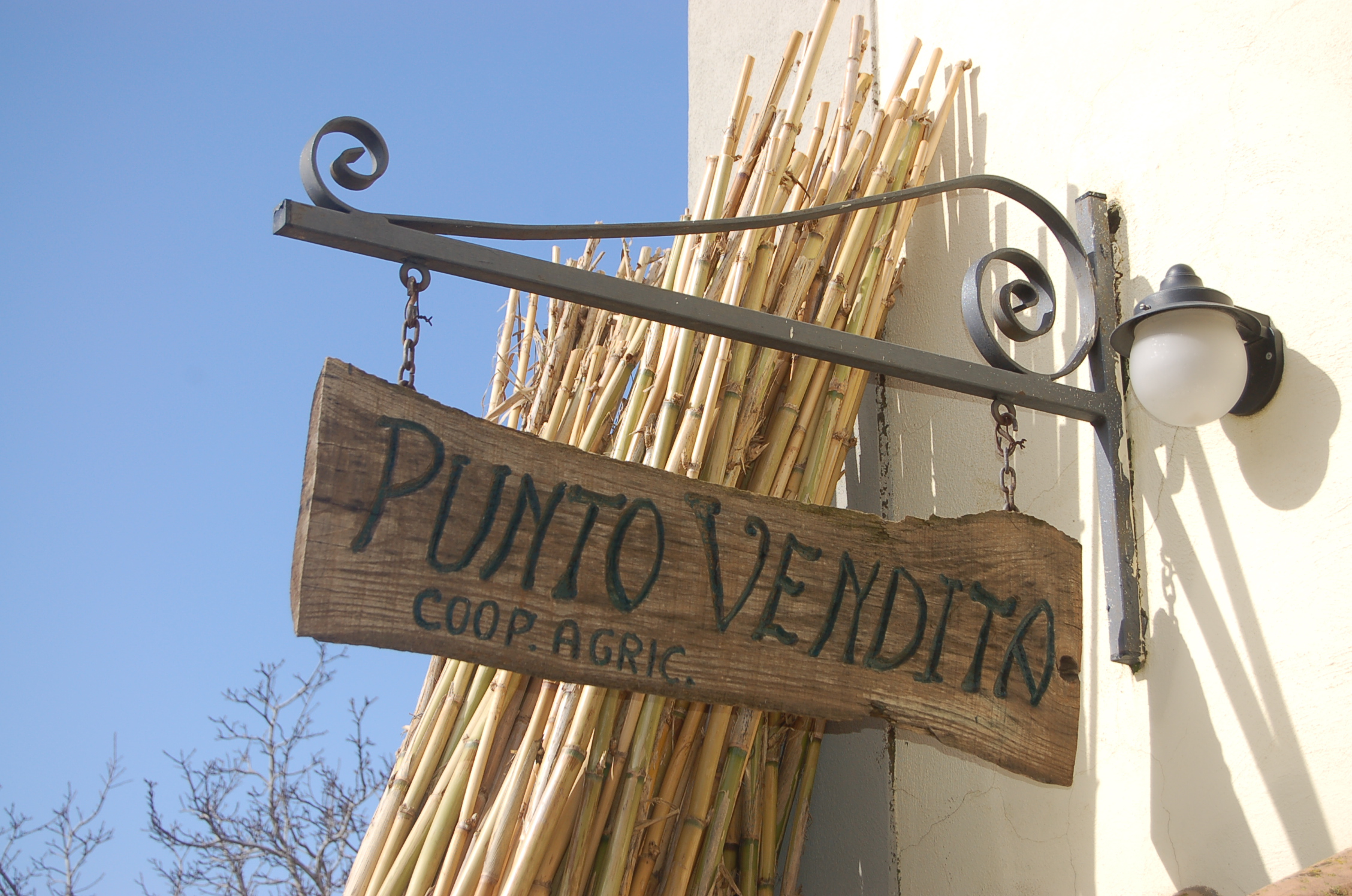 Punto vendita