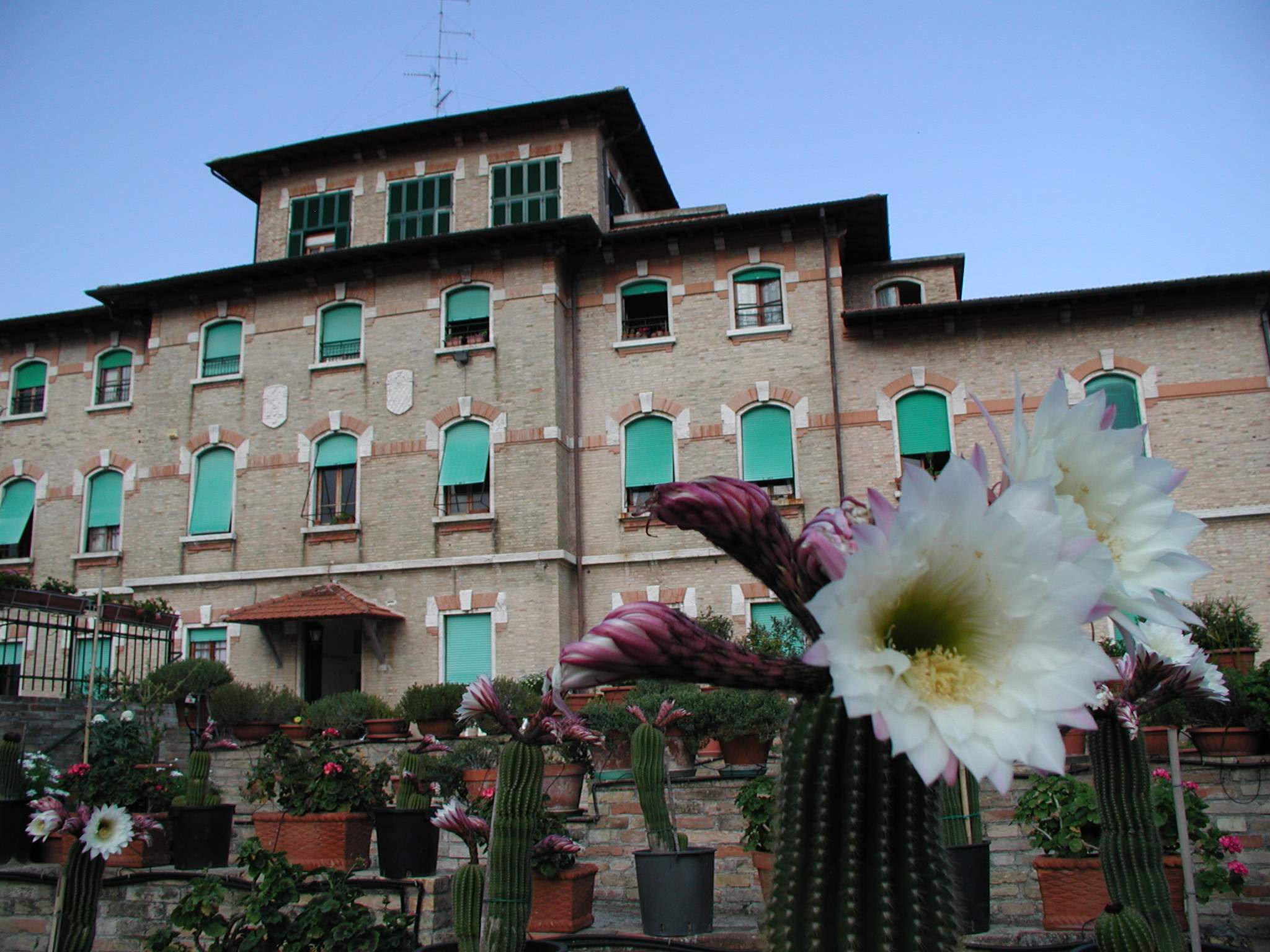 Villa2