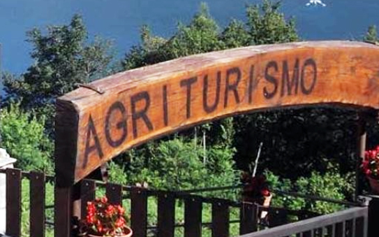 operatore di agriturismo: la cogito avvia un corso gratuito per disoccupati